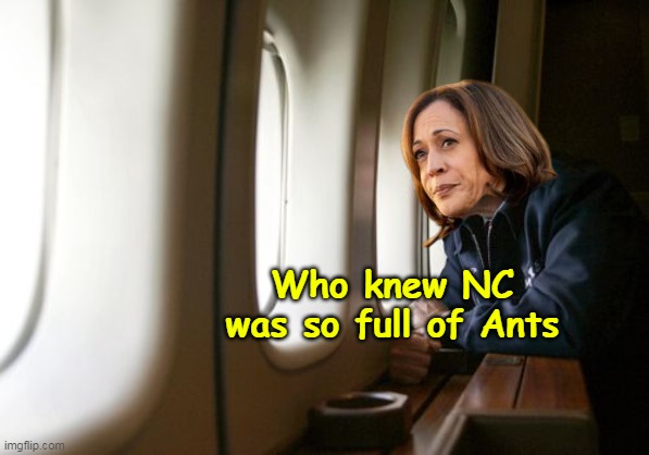 Modern Day Bush Flyover | Who knew NC was so full of Ants | image tagged in kamala nc ants meme | made w/ Imgflip meme maker