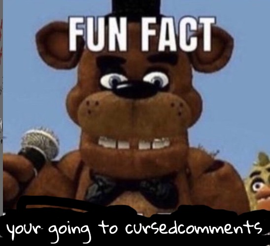 Fun fact stfu | your going to cursedcomments | image tagged in fun fact stfu | made w/ Imgflip meme maker