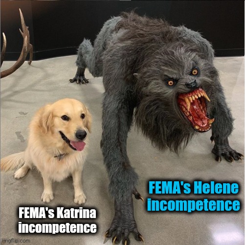 FEMA even worse with nobody in charge | FEMA's Helene incompetence; FEMA's Katrina incompetence | image tagged in dog vs werewolf,memes,katrina,helene,democrats,incompetence | made w/ Imgflip meme maker