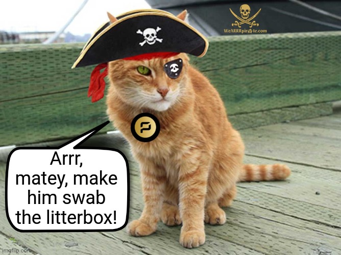 ARRR cat | Arrr, matey, make him swab the litterbox! | image tagged in arrr cat | made w/ Imgflip meme maker