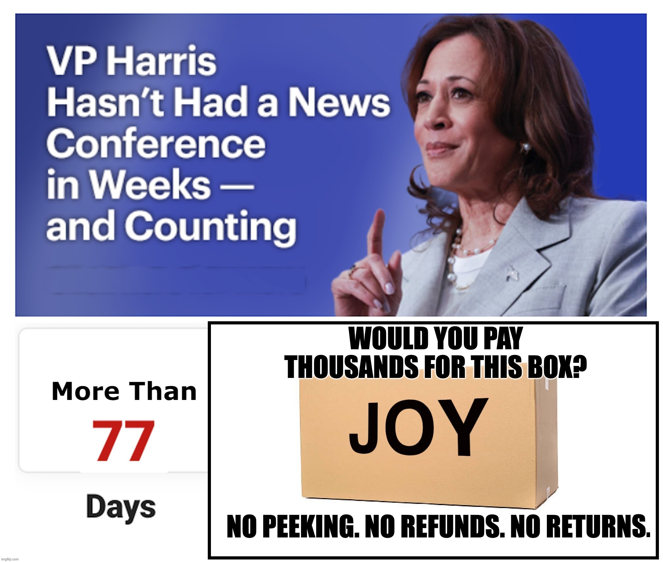 If the box is empty, only the wealthiest people could afford the loss. | image tagged in no to kamala,you own nothing,empty promises | made w/ Imgflip meme maker