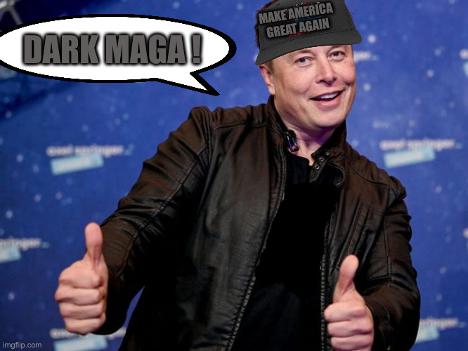 How Cool Is That ? | MAKE AMERICA GREAT AGAIN; DARK MAGA ! | image tagged in elon musk nice,politics,political meme,funny memes,funny | made w/ Imgflip meme maker