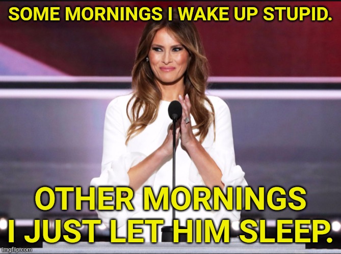 Melania | SOME MORNINGS I WAKE UP STUPID. OTHER MORNINGS I JUST LET HIM SLEEP. | image tagged in melania trump meme | made w/ Imgflip meme maker