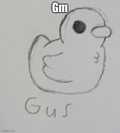 Gus | Gm | image tagged in gus the duck | made w/ Imgflip meme maker