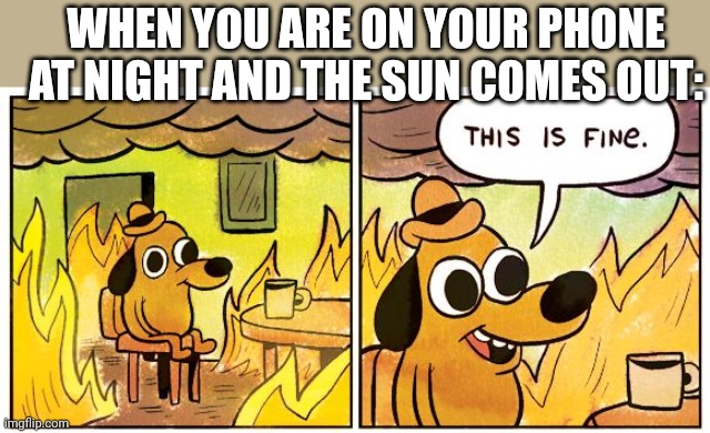 This Is Fine Meme | WHEN YOU ARE ON YOUR PHONE AT NIGHT AND THE SUN COMES OUT: | image tagged in memes,this is fine | made w/ Imgflip meme maker