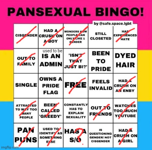 Pansexual Bingo | used to be | image tagged in pansexual bingo | made w/ Imgflip meme maker