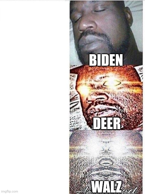 I sleep meme with ascended template | BIDEN WALZ DEER | image tagged in i sleep meme with ascended template | made w/ Imgflip meme maker