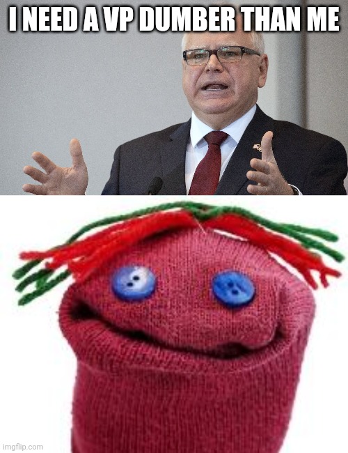 I NEED A VP DUMBER THAN ME | image tagged in tim walz,sock puppet | made w/ Imgflip meme maker