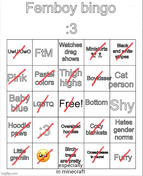 Femboy bingo | especially in minecraft | image tagged in femboy bingo | made w/ Imgflip meme maker