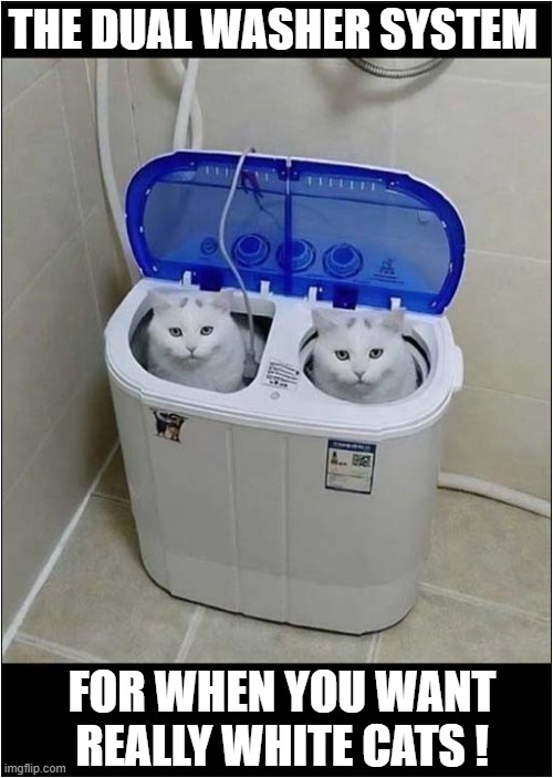 They Don't Look That Impressed ! | THE DUAL WASHER SYSTEM; FOR WHEN YOU WANT
REALLY WHITE CATS ! | image tagged in cats,washing machine | made w/ Imgflip meme maker