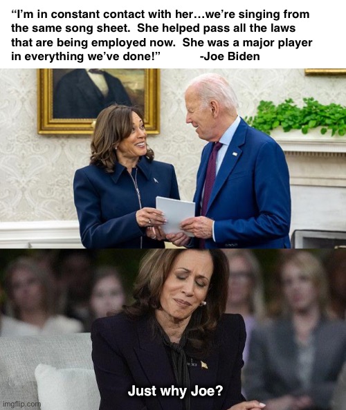 When you’re trying to distance yourself but he keeps pulling you back in | “I’m in constant contact with her…we’re singing from 
the same song sheet.  She helped pass all the laws 
that are being employed now.  She was a major player 
in everything we’ve done!”            -Joe Biden; Just why Joe? | image tagged in biden kamala harris | made w/ Imgflip meme maker