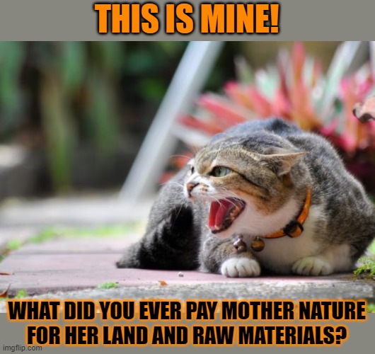 This #lolcat wonders why hoo-mens are so possessive | THIS IS MINE! WHAT DID YOU EVER PAY MOTHER NATURE
FOR HER LAND AND RAW MATERIALS? | image tagged in lolcat,mother nature,greed,corporate greed,capitalism,raw materials | made w/ Imgflip meme maker