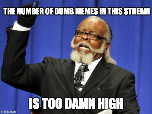 dumb memes | THE NUMBER OF DUMB MEMES IN THIS STREAM; IS TOO DAMN HIGH | image tagged in memes,too damn high | made w/ Imgflip meme maker