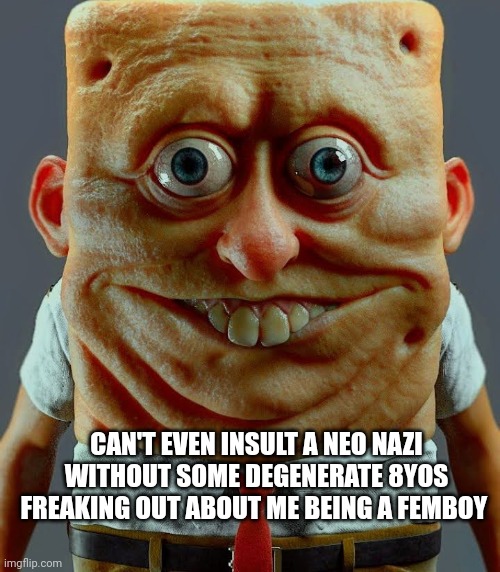 Hyper Realistic SpongeBob | CAN'T EVEN INSULT A NEO NAZI WITHOUT SOME DEGENERATE 8YOS FREAKING OUT ABOUT ME BEING A FEMBOY | image tagged in hyper realistic spongebob | made w/ Imgflip meme maker