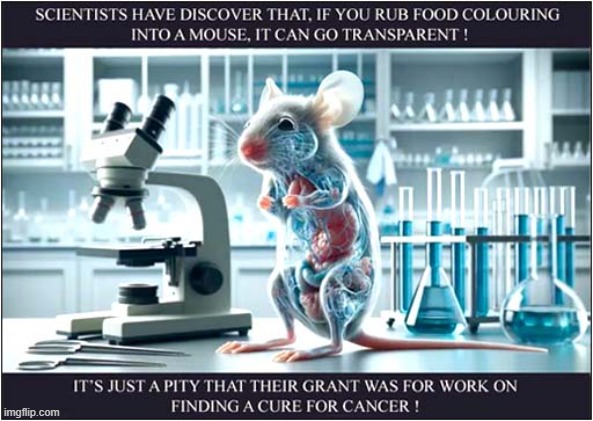 Those Crazy Scientists ! | image tagged in mouse,transparent,experiment,scientist,cancer,dark humour | made w/ Imgflip meme maker