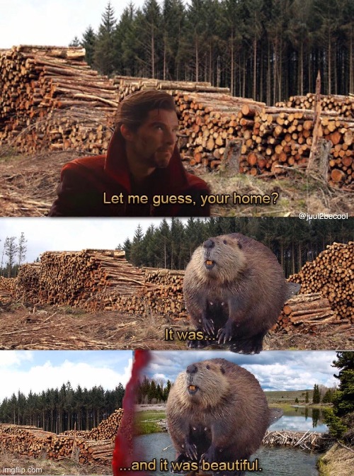 Poor Beaver…. | image tagged in memes,let me guess your home,deforestation,homeless,beaver,dr strange | made w/ Imgflip meme maker