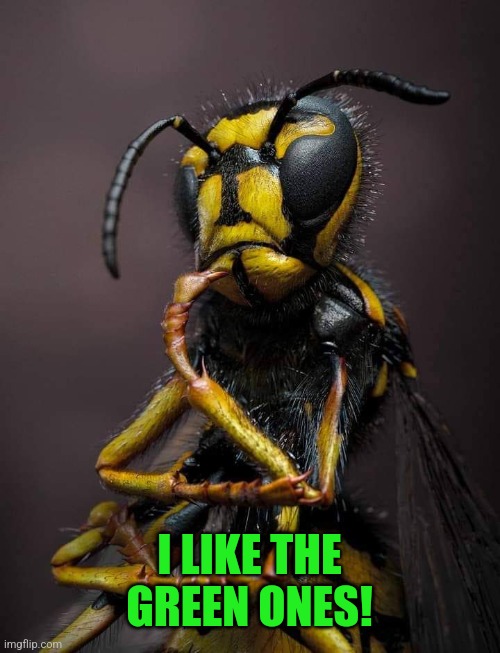 Thinking Ant | I LIKE THE GREEN ONES! | image tagged in thinking ant | made w/ Imgflip meme maker