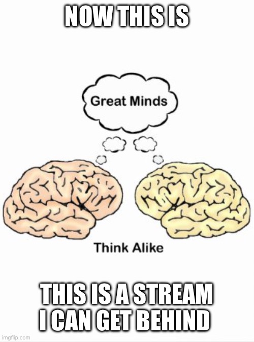 Great minds think alike | NOW THIS IS; THIS IS A STREAM I CAN GET BEHIND | image tagged in great minds think alike | made w/ Imgflip meme maker