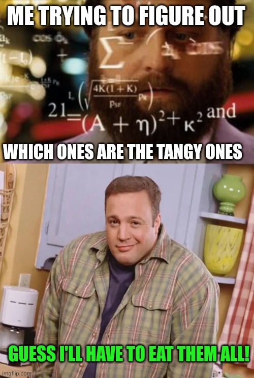 ME TRYING TO FIGURE OUT WHICH ONES ARE THE TANGY ONES GUESS I'LL HAVE TO EAT THEM ALL! | image tagged in trying to calculate how much sleep i can get,kevin james shrug | made w/ Imgflip meme maker