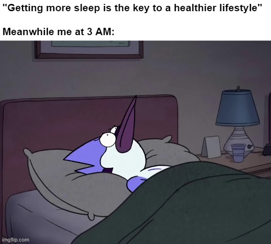 Circadian Insomniac | "Getting more sleep is the key to a healthier lifestyle"
 
Meanwhile me at 3 AM: | image tagged in memes,sleep,insomnia | made w/ Imgflip meme maker