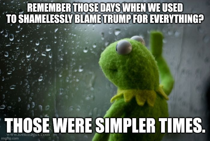 Sad | REMEMBER THOSE DAYS WHEN WE USED TO SHAMELESSLY BLAME TRUMP FOR EVERYTHING? THOSE WERE SIMPLER TIMES. | image tagged in kermit window,trump | made w/ Imgflip meme maker