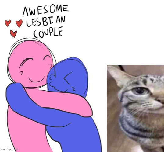 cat | image tagged in awesome lesbian couple | made w/ Imgflip meme maker