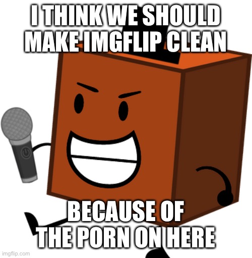 Freddy Fazblocky | I THINK WE SHOULD MAKE IMGFLIP CLEAN; BECAUSE OF THE PORN ON HERE | image tagged in freddy fazblocky | made w/ Imgflip meme maker