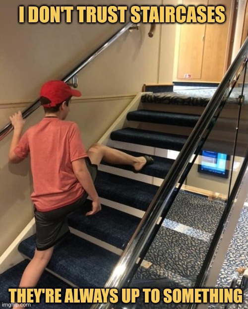 Taking the Escalator | I DON'T TRUST STAIRCASES; THEY'RE ALWAYS UP TO SOMETHING | image tagged in skipping stairs,memes,jokes | made w/ Imgflip meme maker