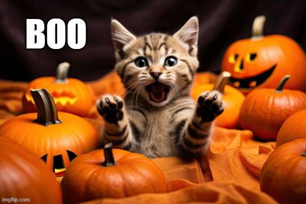 memes by Brad - Halloween kitten tries to scare people - humor | BOO | image tagged in funny,cats,kitten,halloween,boo,humor | made w/ Imgflip meme maker