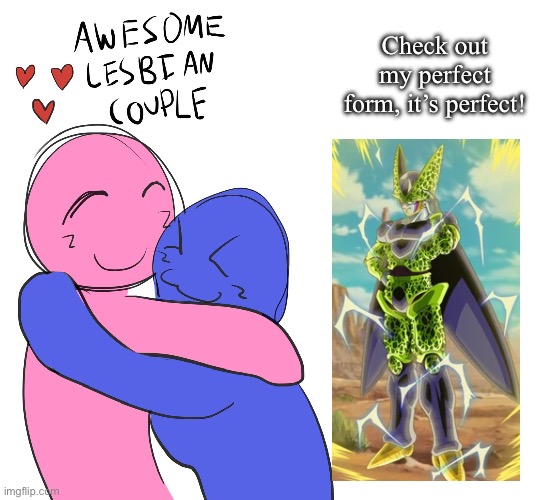 Awesome Lesbian Couple | Check out my perfect form, it’s perfect! | image tagged in awesome lesbian couple | made w/ Imgflip meme maker
