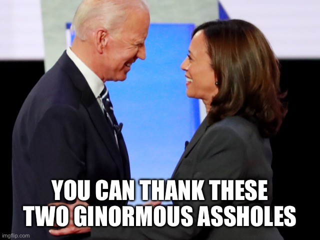 Biden Harris | YOU CAN THANK THESE
TWO GINORMOUS ASSHOLES | image tagged in biden harris | made w/ Imgflip meme maker