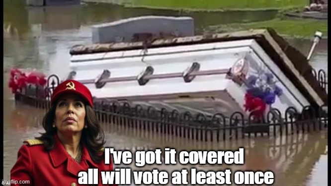 Kamala Aide To NC | I've got it covered 
all will vote at least once | image tagged in kamala coffin meme | made w/ Imgflip meme maker