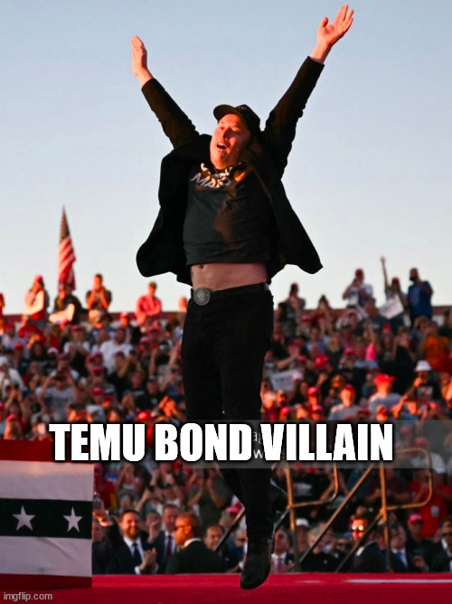 Elon jumping like an idiot | TEMU BOND VILLAIN | image tagged in elon jumping like an idiot | made w/ Imgflip meme maker