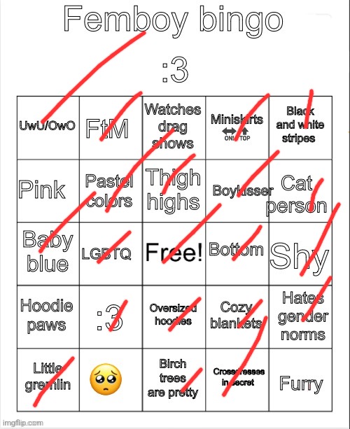 I ACCIDENTALLY POSTED THIS ON FUN PLEASE SEND HELP | image tagged in femboy bingo | made w/ Imgflip meme maker