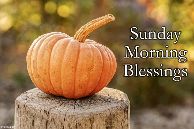 Sunday Pumpkin | Sunday Morning Blessings | image tagged in sunday blessings | made w/ Imgflip meme maker