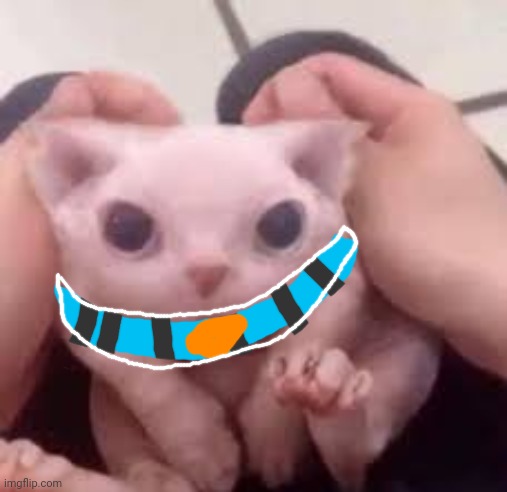 Scrunched Bingus | image tagged in scrunched bingus | made w/ Imgflip meme maker