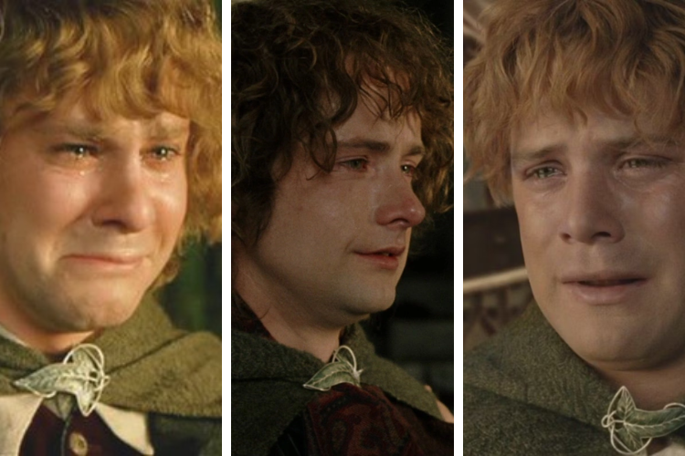 Sad Hobbits Blank Meme Template