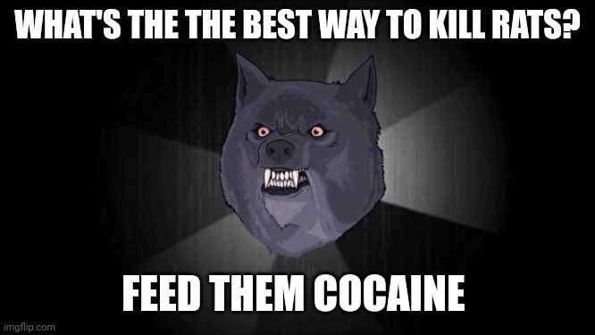 Yes | WHAT'S THE THE BEST WAY TO KILL RATS? FEED THEM COCAINE | image tagged in insanity wolf,cocaine,toe jammer,rats | made w/ Imgflip meme maker