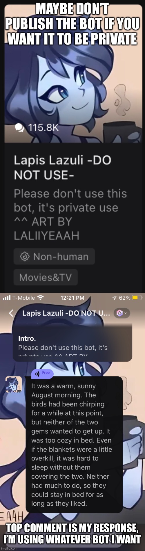 MAYBE DON’T PUBLISH THE BOT IF YOU WANT IT TO BE PRIVATE; TOP COMMENT IS MY RESPONSE, I’M USING WHATEVER BOT I WANT | made w/ Imgflip meme maker