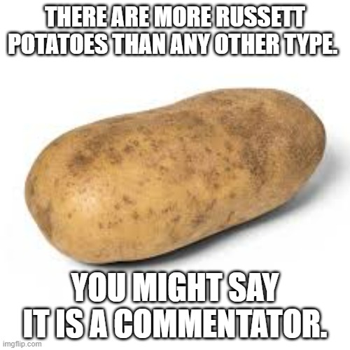 memes by Brad - The Russet Potato is the most common. It is a commontator. | THERE ARE MORE RUSSETT POTATOES THAN ANY OTHER TYPE. YOU MIGHT SAY IT IS A COMMENTATOR. | image tagged in funny,fun,food,play on words,potatoes | made w/ Imgflip meme maker