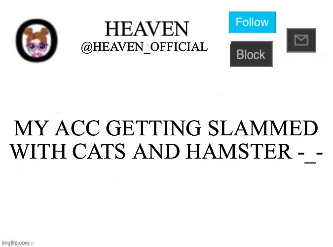 Bruv, she keeps doing this | MY ACC GETTING SLAMMED WITH CATS AND HAMSTER -_- | image tagged in heaven s template | made w/ Imgflip meme maker