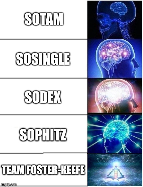 KOTLC SHIPS | SOTAM; SOSINGLE; SODEX; SOPHITZ; TEAM FOSTER-KEEFE | image tagged in expanding brain 5 panel | made w/ Imgflip meme maker