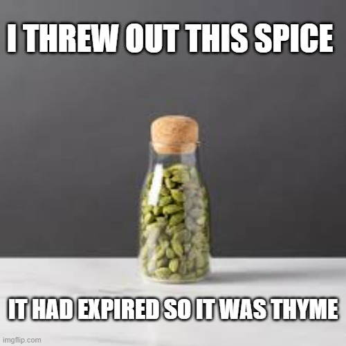 memes by Brad - I threw out the spice because it was expired. It was thyme. | I THREW OUT THIS SPICE; IT HAD EXPIRED SO IT WAS THYME | image tagged in funny,fun,spice,humor,repost,old | made w/ Imgflip meme maker