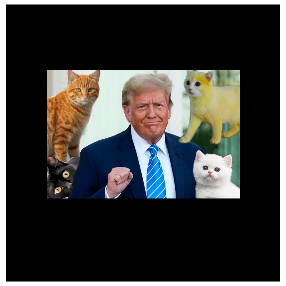 Trumpy Cats Blank Template - Imgflip