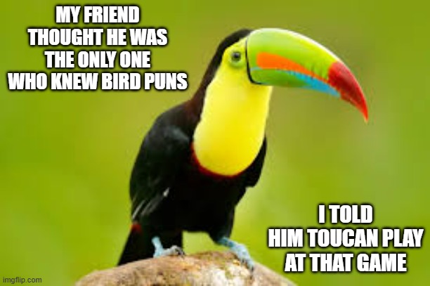 memes by Brad - My friend did bird puns. I said toucan play at that game | MY FRIEND THOUGHT HE WAS THE ONLY ONE WHO KNEW BIRD PUNS; I TOLD HIM TOUCAN PLAY AT THAT GAME | image tagged in funny,fun,birds,puns,play on words,humor | made w/ Imgflip meme maker