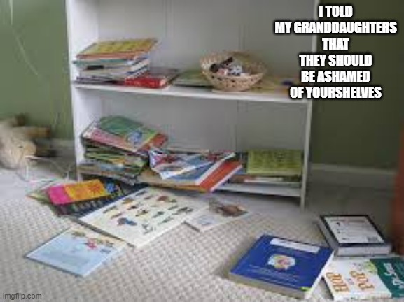 memes by Brad - You should be ashamed of yourshelves - humor | I TOLD MY GRANDDAUGHTERS THAT THEY SHOULD BE ASHAMED OF YOURSHELVES | image tagged in funny,fun,books,mess,play on words,humor | made w/ Imgflip meme maker