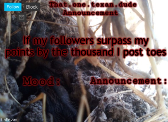 THE that.one.texan.dude announcement template | If my followers surpass my points by the thousand I post toes | image tagged in the that one texan dude announcement template | made w/ Imgflip meme maker
