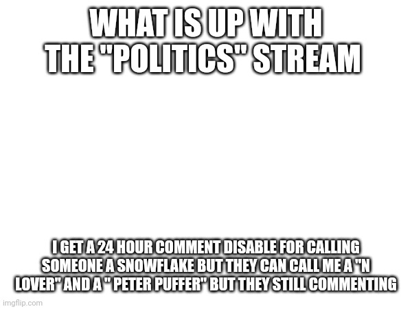 Weidos | WHAT IS UP WITH THE "POLITICS" STREAM; I GET A 24 HOUR COMMENT DISABLE FOR CALLING SOMEONE A SNOWFLAKE BUT THEY CAN CALL ME A "N LOVER" AND A " PETER PUFFER" BUT THEY STILL COMMENTING | made w/ Imgflip meme maker