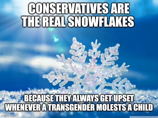 The real snowflakes | CONSERVATIVES ARE THE REAL SNOWFLAKES; BECAUSE THEY ALWAYS GET UPSET WHENEVER A TRANSGENDER MOLESTS A CHILD | image tagged in snowflake | made w/ Imgflip meme maker