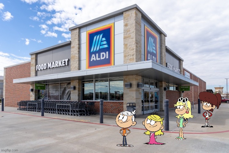 Going to Aldi | image tagged in the loud house,nickelodeon,lincoln loud,grocery store,groceries,texas | made w/ Imgflip meme maker